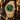 Men's Crystal Pavé Watch - Gold/Green
